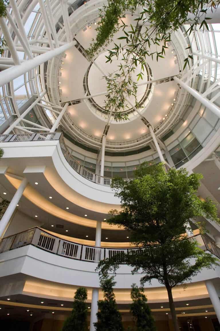 cvc_atrium